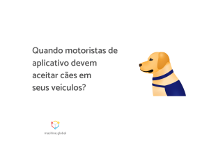 Quando motoristas de aplicativo devem aceitar cães?