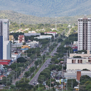 Palmas