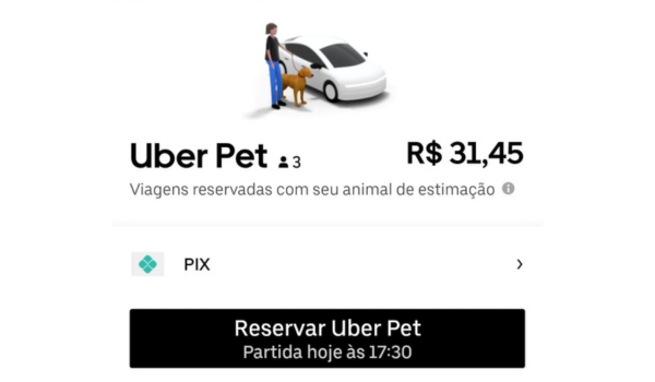 Motoristas Uber de SP e RJ poderao transportar pets