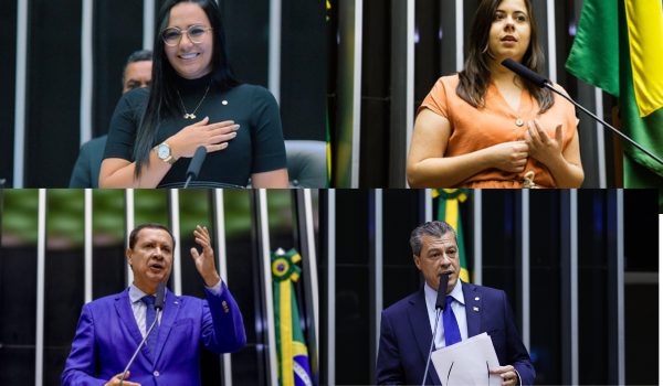 Deputados e o que pensam sobre a regulamentacao