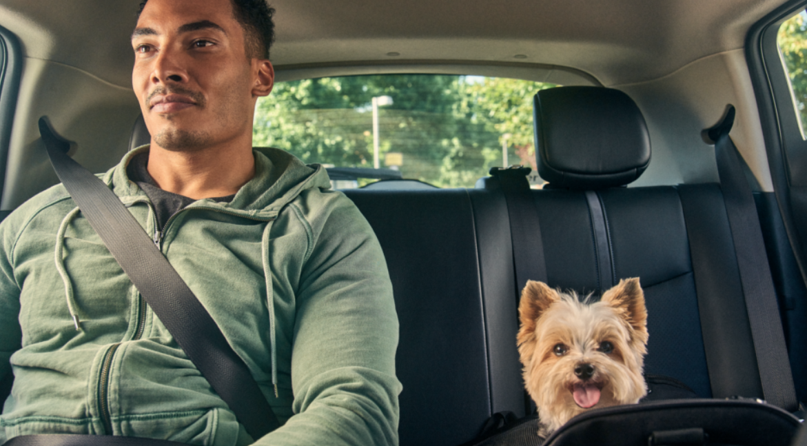 "Uber Pet expandindo o serviço para mais cidades brasileiras, facilitando o transporte de animais de estimação."