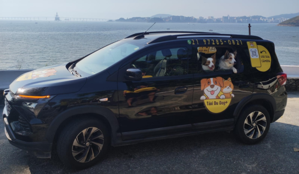 Veículo do Táxi Du Dog estacionado à beira-mar com dois cães olhando pela janela, prontos para o transporte especializado de pets.