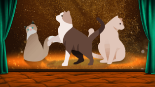 Animação com três gatos.