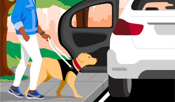 Ilustração de uma pessoa caminhando na calçada com um cachorro-guia de coleira e peitoral, aproximando-se de um carro branco com a porta traseira aberta para embarque.